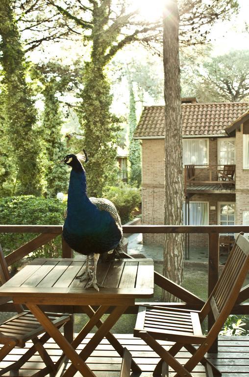 Carilo Village Apart Hotel & Spa Room photo